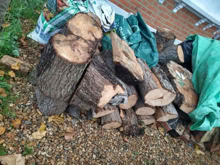 Photo of free Pear wood (Palmers Green N13) #1