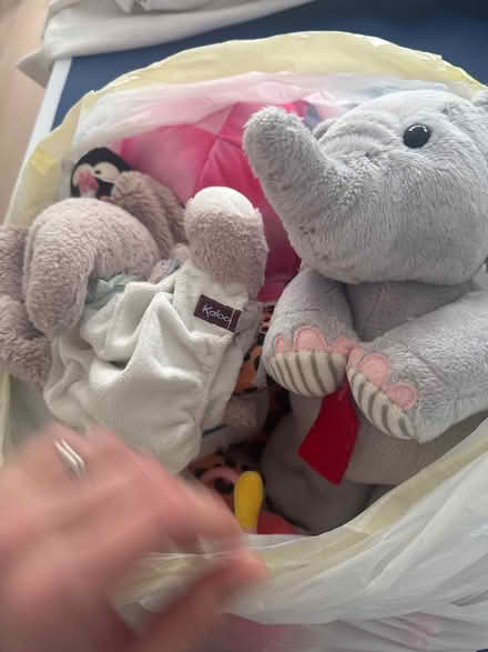 Photo of free Cuddly toys (Whetstone N20) #2