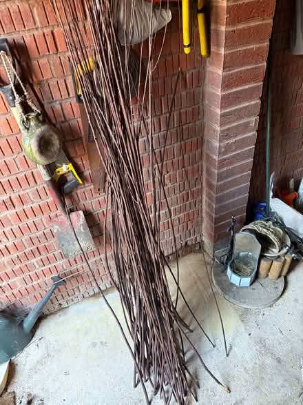 Photo of free Willow branches (Tuffley Gloucester) #1