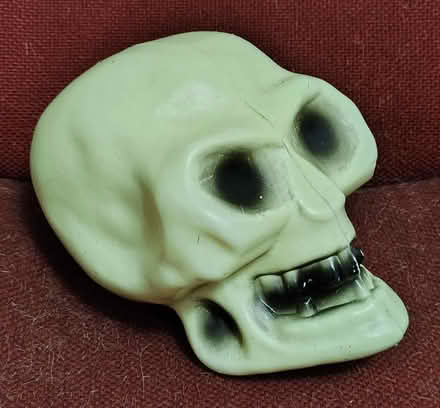 Photo of free Plastic skull and back scratcher (Fremont) #1