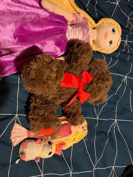 Photo of free Cuddly toys (Lifford, kings Norton B30) #4