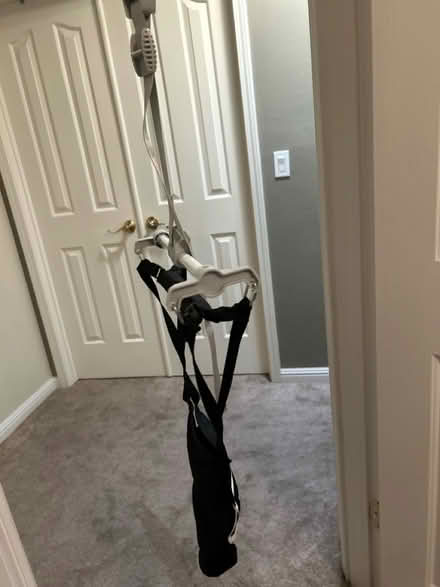 Photo of free Baby jumper/bouncer (West San Jose) #2