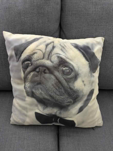 Photo of free Selection of cushions (Enfield EN2) #4