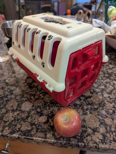 Photo of free Toy animal carrier (North Cambridge) #1