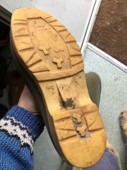Photo of free Wellies Size 7 / 40 women’s (Cottle's Oak BA11) #1