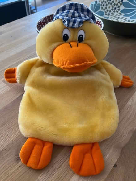 Photo of free Hot water bottle cover & duck cover (Winnersh RG41) #1