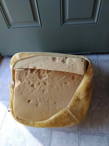 Photo of free kids simba chair (pawling) #2