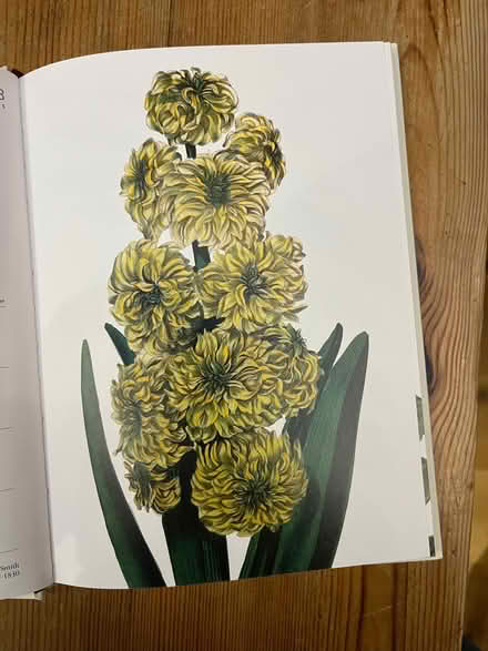 Photo of free Old diary unused (North Hinksey OX2) #4