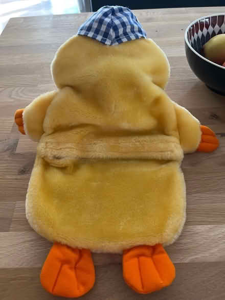 Photo of free Hot water bottle cover & duck cover (Winnersh RG41) #2
