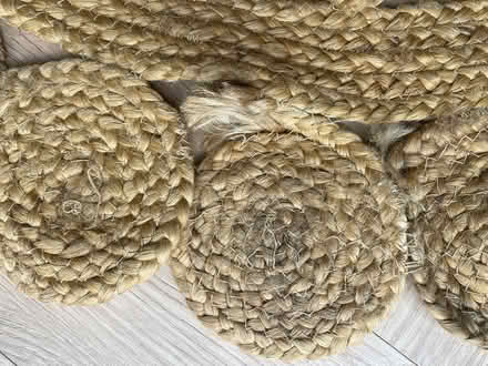 Photo of free Rug (Pembury TN2) #3