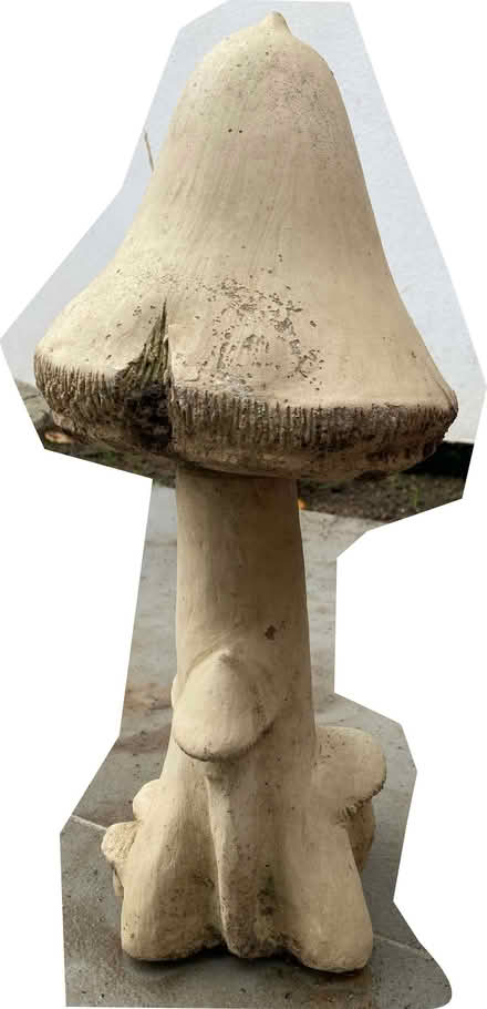 Photo of free Stone mushroom (Beckenham BR3) #1