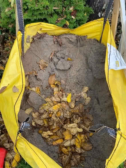 Photo of free Sand (Exeter EX2 7) #1