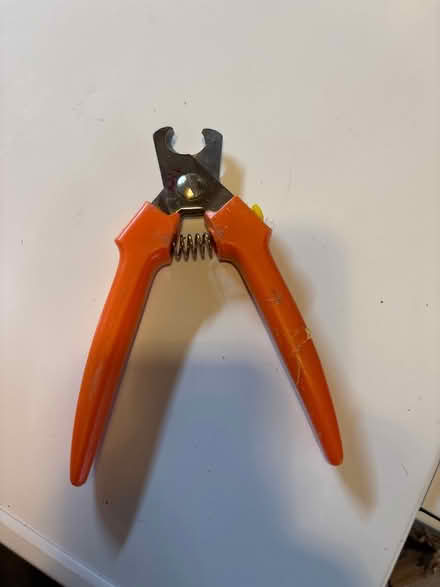 Photo of free dog nail trimmers (Naperville) #1