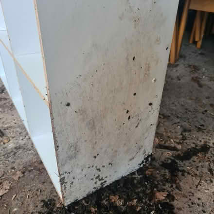 Photo of free White cube unit, not Kallax (Southgate RH11) #4