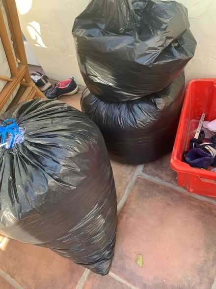 Photo of free Shredded paper for pet bedding 2 big bin liners full (Nyetimber PO21) #1