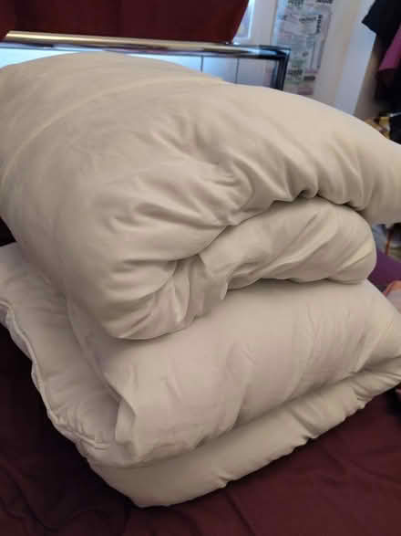 Photo of free Two single duvets (Donnington OX4) #1