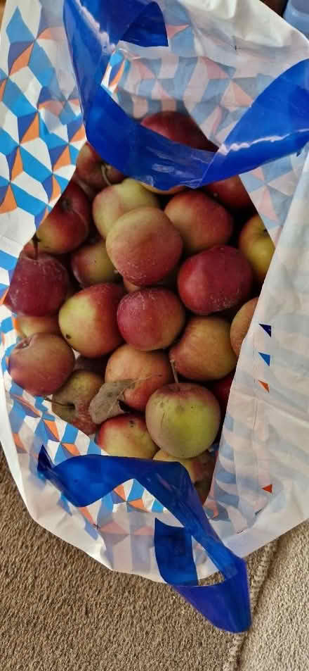 Photo of free 1 x carrier bags of apples (Alvaston DE24) #1