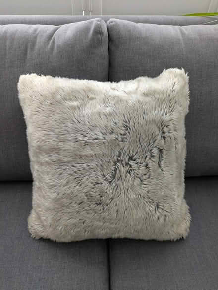 Photo of free Selection of cushions (Enfield EN2) #1