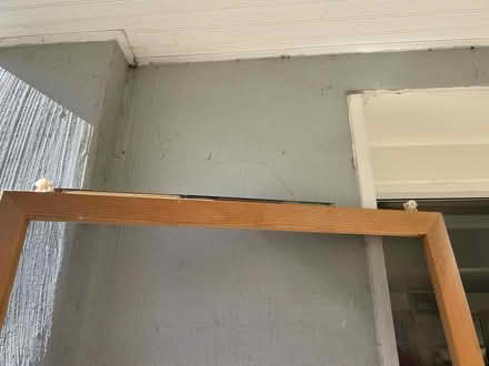 Photo of free Pella screen door (Arlington - Cherrydale) #3