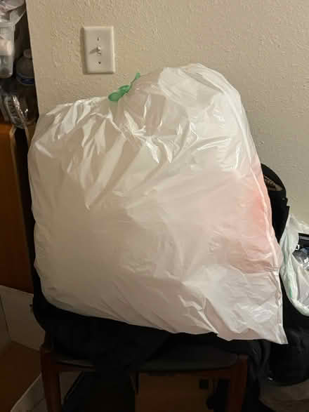 Photo of free medium large bag-Styrofoam peanuts (170 Blaine St. off Ocean St) #1