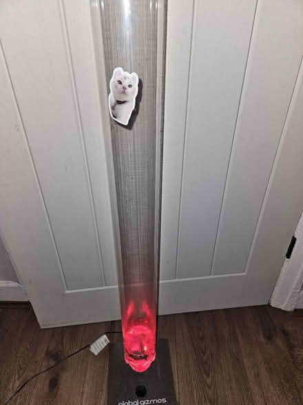 Photo of free Bubble fish light (Burnage M19) #1