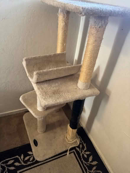 Photo of free cat tree (Rengstorff & Middlefield Rd MV) #3