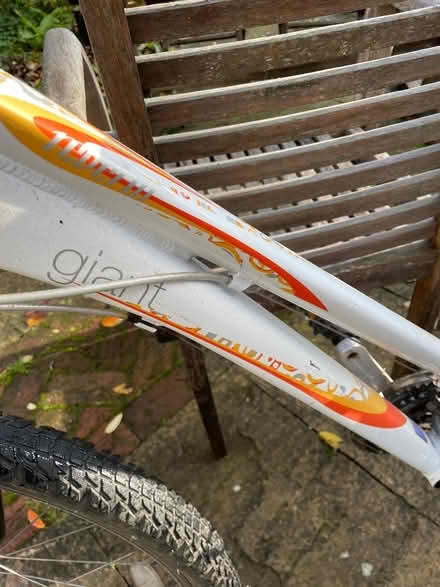 Photo of free Small ladies bike Giant Liv (Combe Oxfordshire OX29) #2