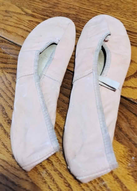 Photo of free Vintage Dance Shoes (Fremont) #1