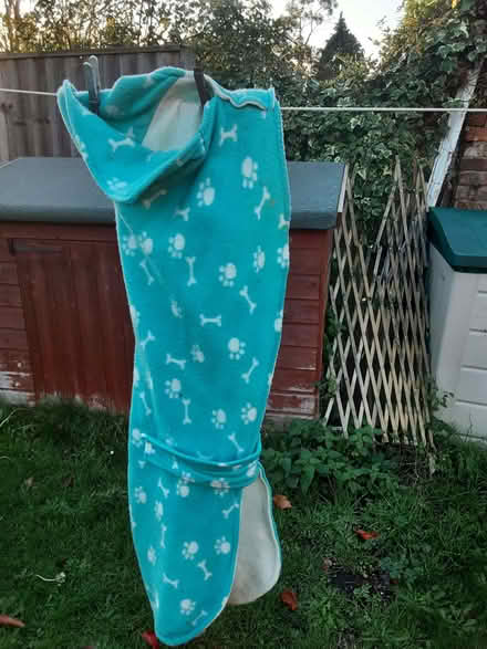 Photo of free Greyhound fleece houseboat medium large (Old Woking GU22) #1