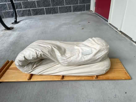 Photo of free Organic Body Pillow (Duvall) #1