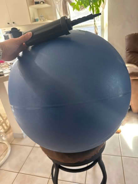 Photo of free TheraGear Swiss Exercise Ball (Pembroke Pines) #2