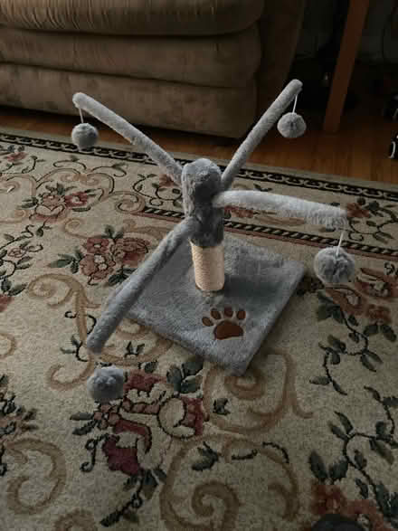 Photo of free Cat toy (Oakton Park in skokie) #1