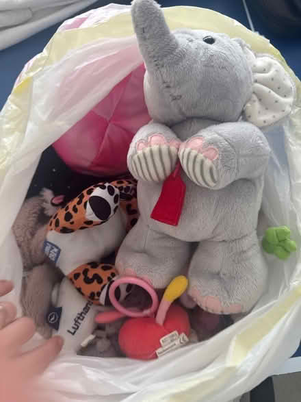 Photo of free Cuddly toys (Whetstone N20) #1