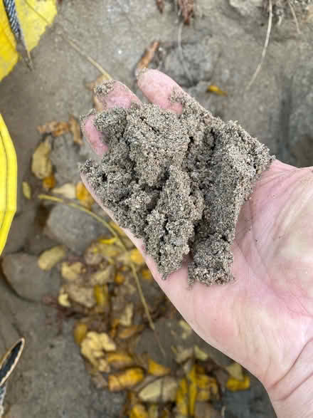 Photo of free Sand (Exeter EX2 7) #2