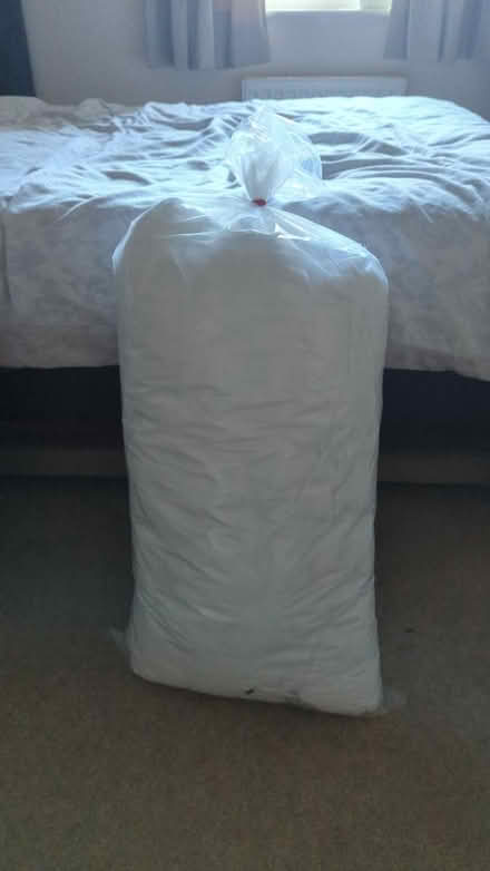 Photo of free 2x pillow (Next) (Guildford GU1) #1