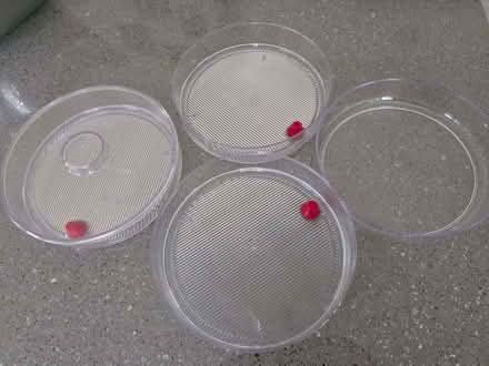 Photo of free A.Vogel Biosnacky sprouting system (Skipton BD23) #2