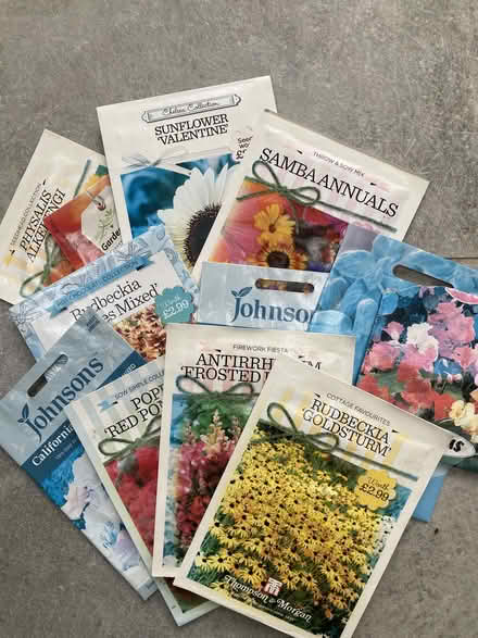 Photo of free Selection of seeds (Beckenham BR3) #1