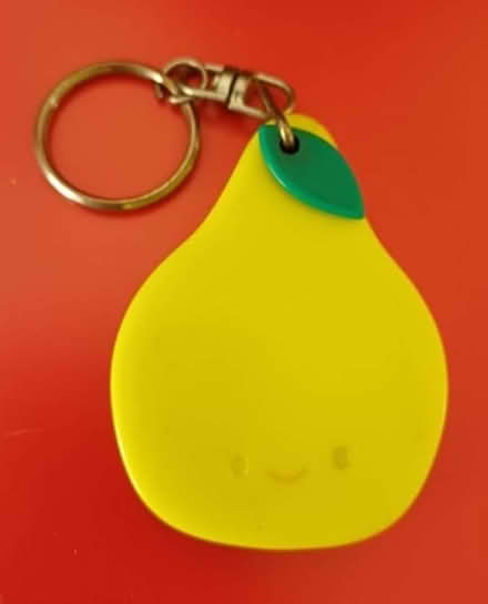 Photo of free Pear-shaped keyring with mirror (Bradbourne Lakes TN13) #3