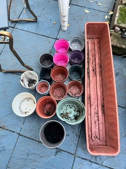 Photo of free Various pots (South Norwood SE25) #1