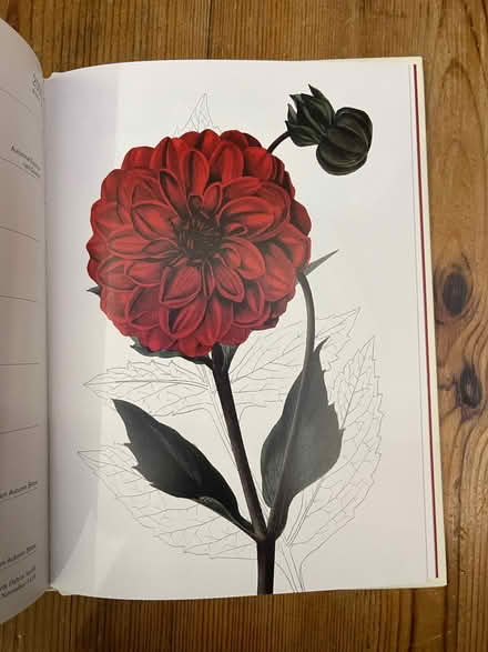 Photo of free Old diary unused (North Hinksey OX2) #2