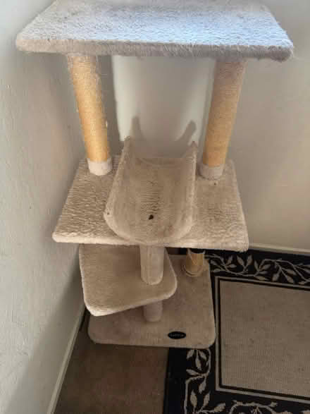 Photo of free cat tree (Rengstorff & Middlefield Rd MV) #2