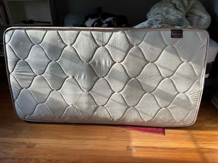 Photo of free Twin mattress (Downingtown off 113) #1
