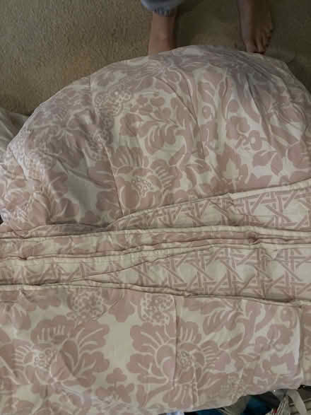 Photo of free pink and white twin comforter (20010) #1