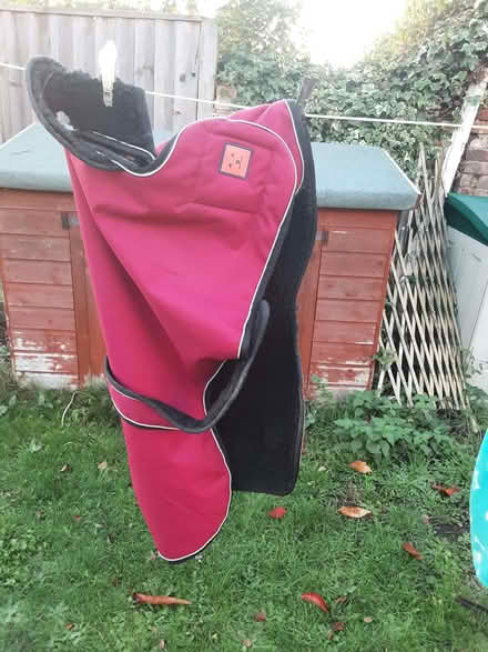 Photo of free Red waterproof fleece lined Greyhound coat medium large (Old Woking GU22) #1