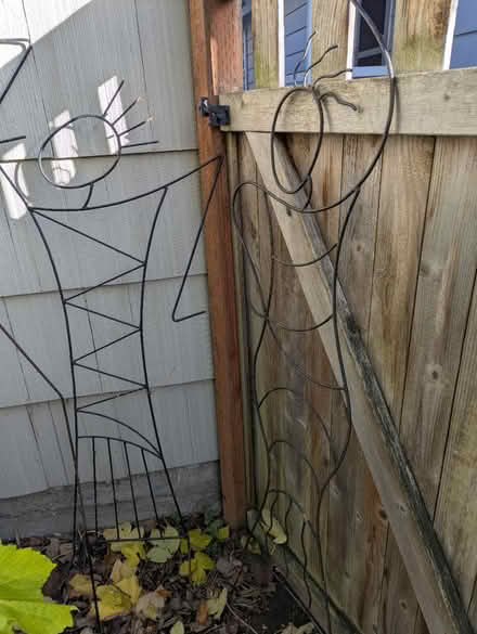 Photo of free Black metal garden supports (Greenlake) #2