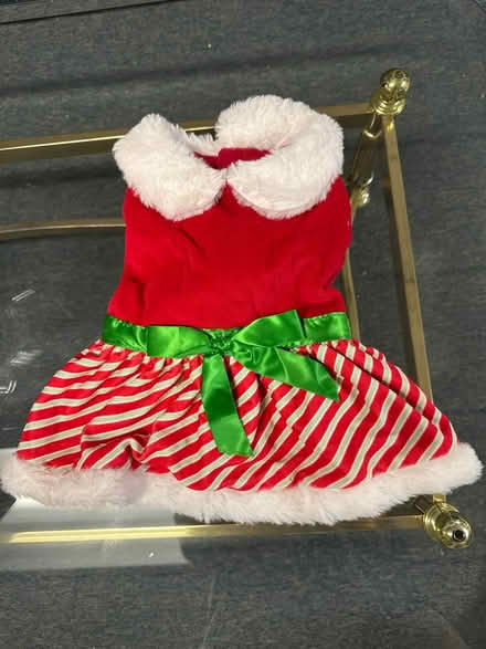 Photo of free Medium Christmas Dog Dress (West Bristol) #1