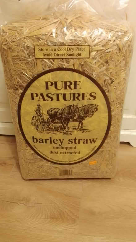 Photo of free Barley Straw (Old Walcot SN3) #1