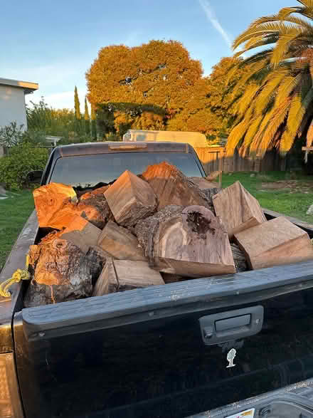 Photo of free Walnut tree fire wood (Redwood City) #3
