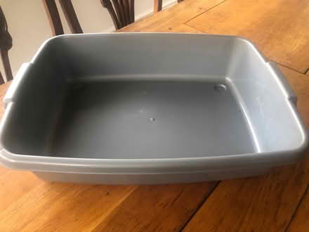 Photo of free Litter tray (Ware SG12) #1