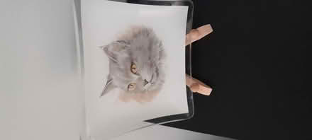 Photo of free Glass cat plate (North Hinksey OX2) #1